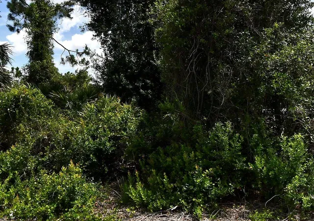 3rd image of De Brita Rd, North Port, FL 34291 | MLS# O6434711