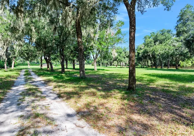 4th image of Blackburn Rd, Pierson, FL 32180 | MLS# FC320791