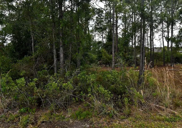 3rd image of Blackman St, North Port, FL 34291 | MLS# O6434712