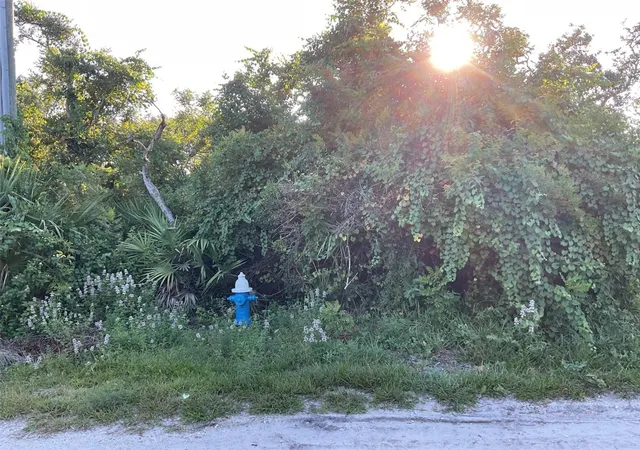 1st image of 5 Dogwood Ter, Palm Coast, FL 32137 | MLS# FC320792