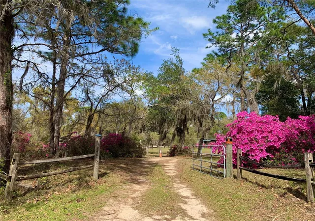5th image of 24605 And 24645 Ne 177Th Ter, Fort Mc Coy, FL 32134 | MLS# TB8540200