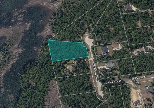 2nd image of Chinaberry Wy, Eustis, FL 32736 | MLS# TB8540236