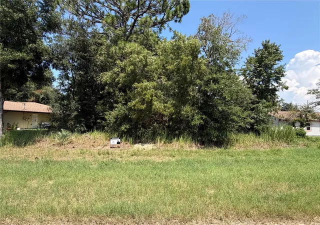 3rd image of 0 Spring Rd, Ocala, FL 34472 | MLS# L4964405