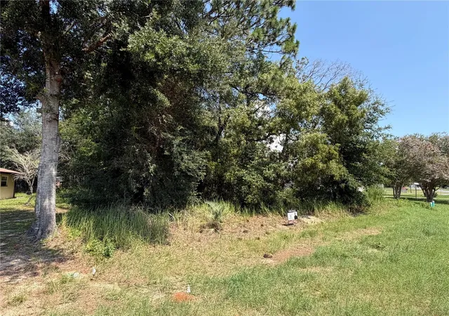 4th image of 0 Spring Rd, Ocala, FL 34472 | MLS# L4964405