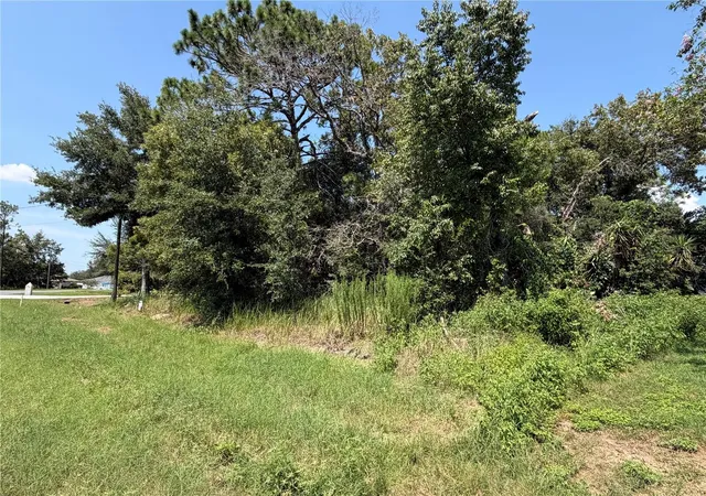 5th image of 0 Spring Rd, Ocala, FL 34472 | MLS# L4964405