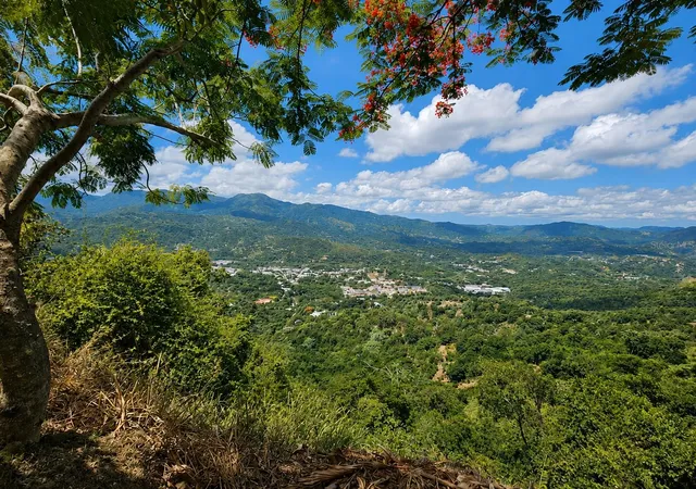Photo 28 of Multi family home for sale at Carr 144 Km 42 Santa Barbara, Jayuya, PR 00664 | MLS# PR9123522 | Listing updated on 2026-09-02