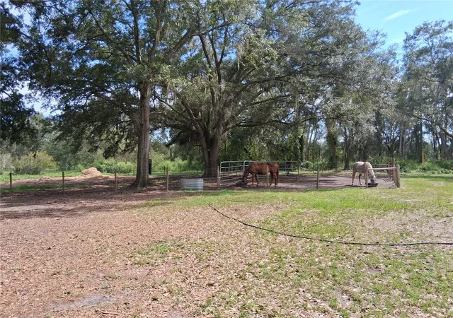 4th image of 23430 N Austin Merritt Rd, Groveland, FL 34736 | MLS# G5116633