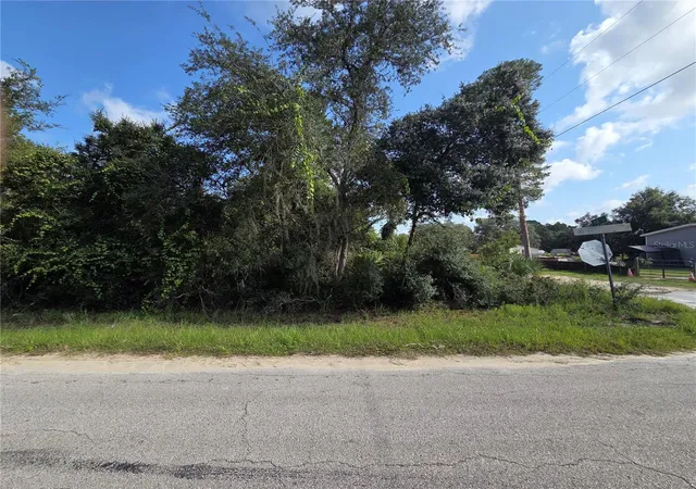 2nd image of Pine St, Paisley, FL 32767 | MLS# G5116639