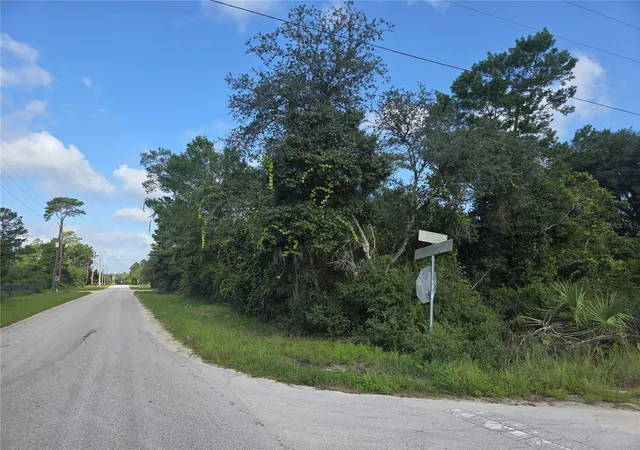 Photo 3 of Land for sale at Pine St, Paisley, FL 32767 | MLS# G5116639 | Listing updated on 2026-08-20