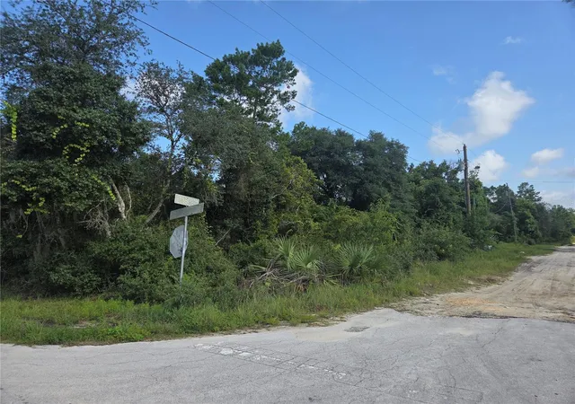 Photo 3 of Land for sale at Pine St, Paisley, FL 32767 | MLS# G5116639 | Listing updated on 2026-08-20