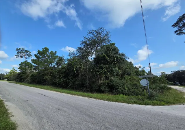 Photo 4 of Land for sale at Pine St, Paisley, FL 32767 | MLS# G5116639 | Listing updated on 2026-08-20