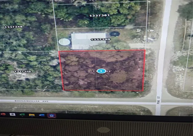 6th image of Pine St, Paisley, FL 32767 | MLS# G5116639
