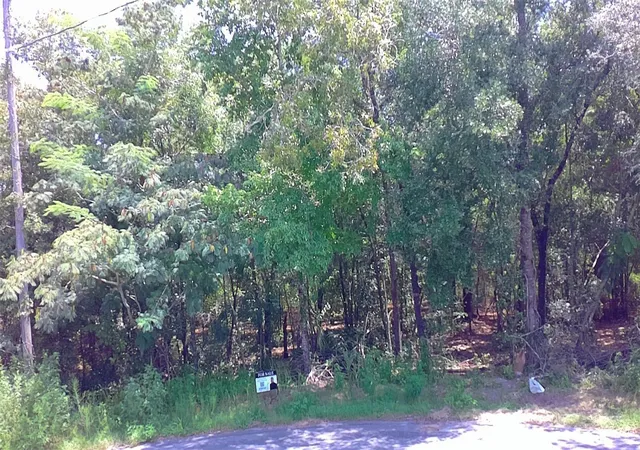 2nd image of 0 Pine Ter, Ocala, FL 34472 | MLS# L4964410
