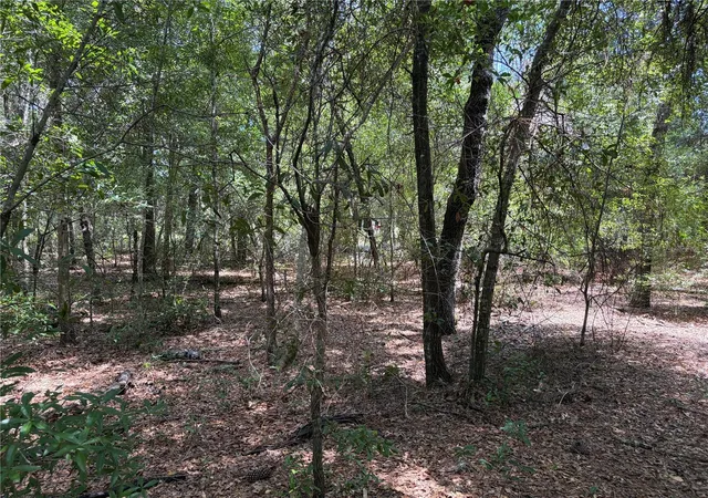 3rd image of 0 Pine Ter, Ocala, FL 34472 | MLS# L4964410