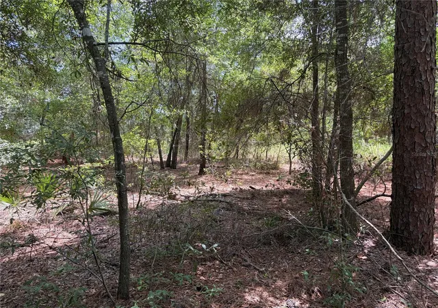 4th image of 0 Pine Ter, Ocala, FL 34472 | MLS# L4964410