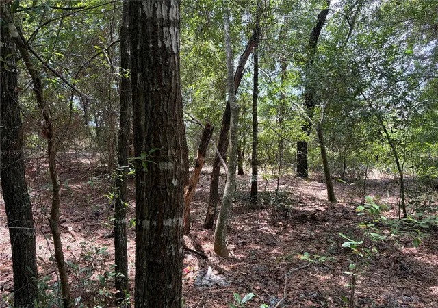 5th image of 0 Pine Ter, Ocala, FL 34472 | MLS# L4964410