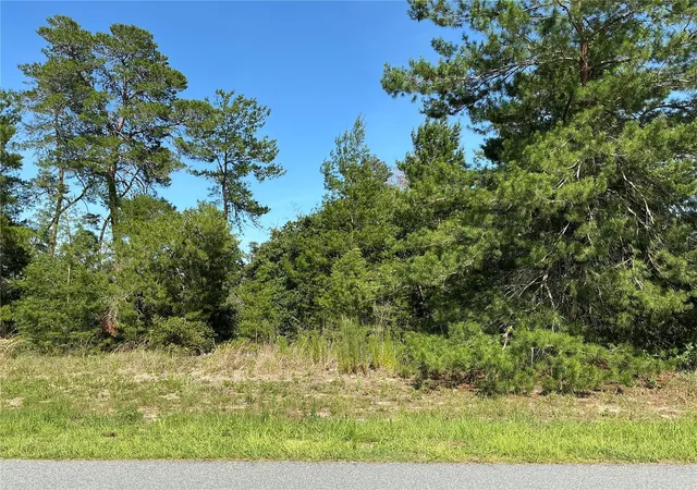 1st image of 12995 Sw 35th Avenue Rd, Ocala, FL 34473 | MLS# OM730695