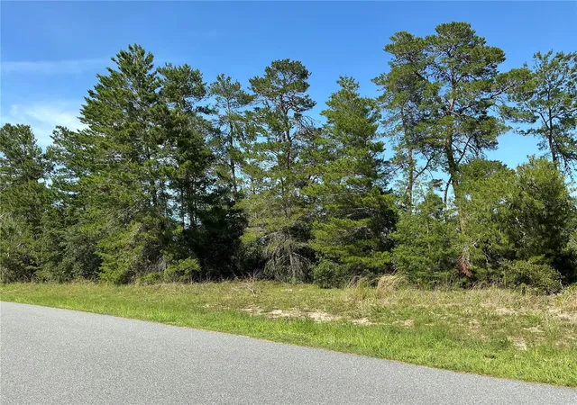 3rd image of 12995 Sw 35Th Avenue Rd, Ocala, FL 34473 | MLS# OM730695