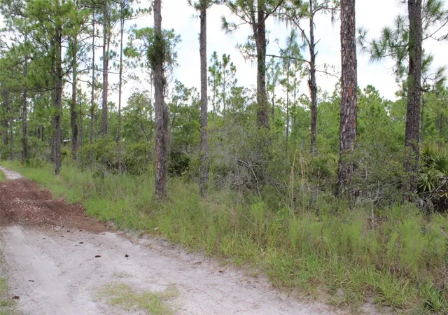 2nd image of 1714 Oleaster Ave, Sebring, FL 33875 | MLS# TB8540416