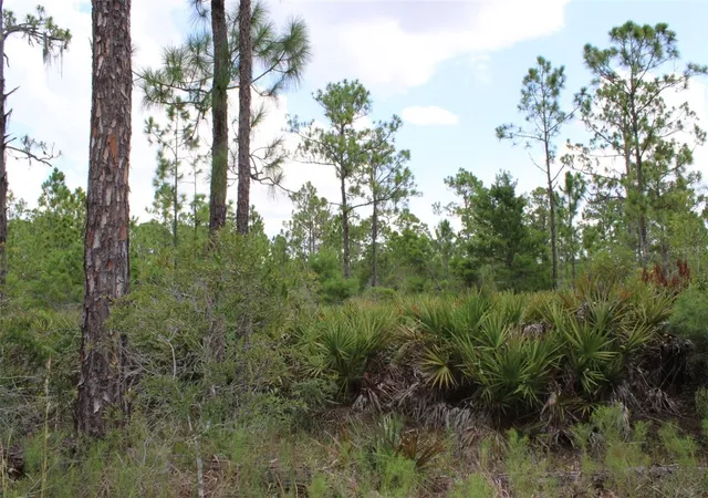 3rd image of 1714 Oleaster Ave, Sebring, FL 33875 | MLS# TB8540416