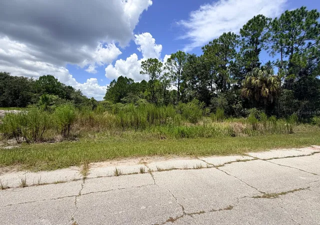 1st image of 1269 Baltic Dr, Kissimmee, FL 34759 | MLS# S5155935