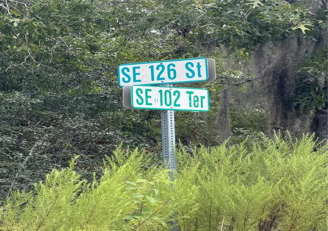 Photo 3 of Land for sale at Tbd Se 126th Street, Belleview, FL 34420 | MLS# G5116666 | Listing updated on 2026-08-20