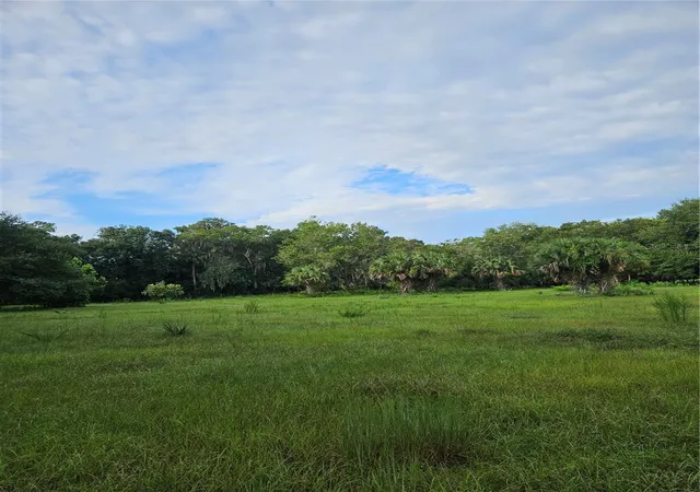 5th image of Snow Hill Rd Rd, Geneva, FL 32732 | MLS# O6435022