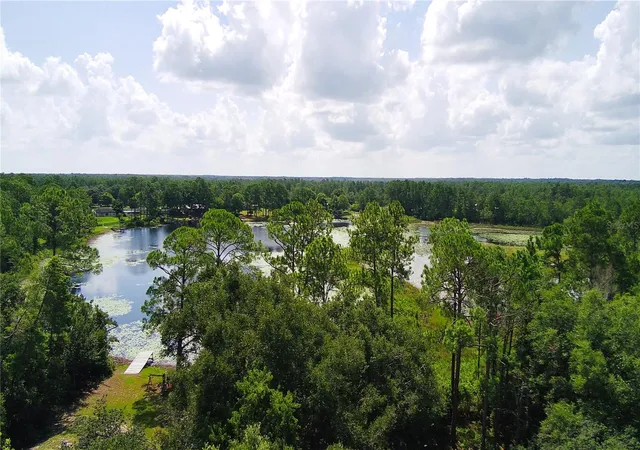 20th image of 42135 Pine Valley Dr, Paisley, FL 32767 | MLS# O6435038