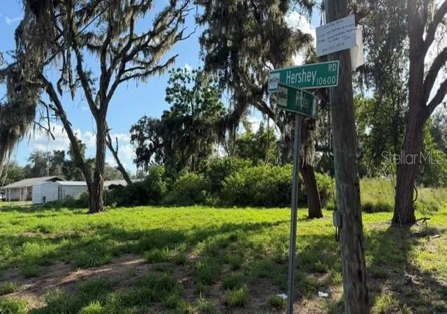 1st image of 9323 Ripley Rd #B, Thonotosassa, FL 33592 | MLS# TB8540660