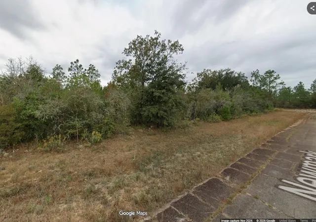 1st image of Lot 15 Unit 7 Blk 460 Newmark Ave, Chipley, FL 32428 | MLS# OM730747