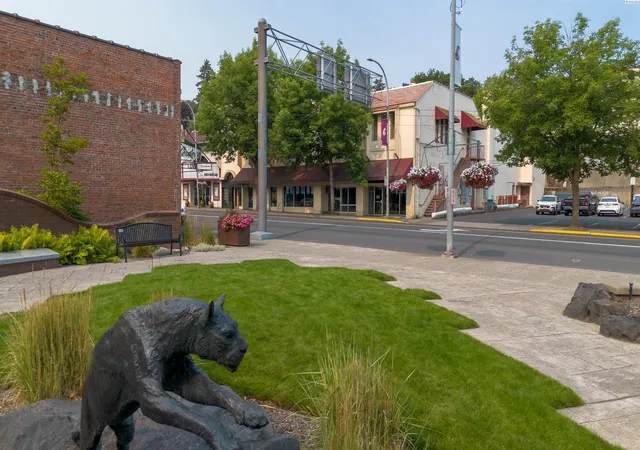 1st image of 139 Grand Ave, Pullman, WA 99163 | MLS# 295388