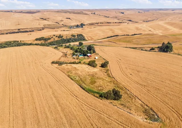 50th image of 651 Klemgard Road, Pullman, WA 99163 | MLS# 295512