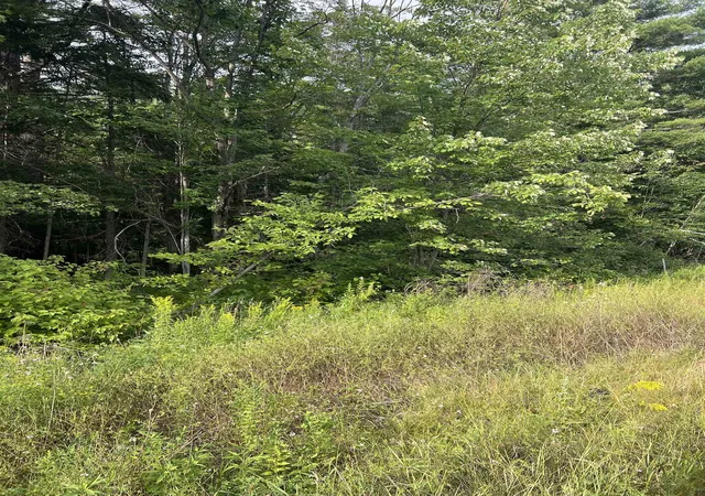 1st image of 0 Nh Route 4 Route, Canaan, NH 03741 | MLS# 5104045