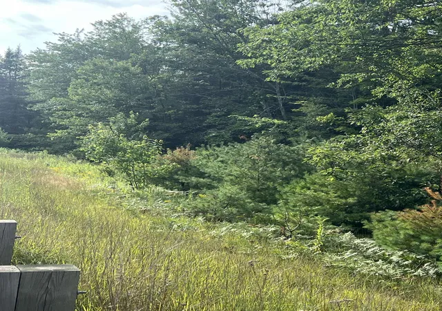 14th image of 0 Nh Route 4 Route, Canaan, NH 03741 | MLS# 5104045