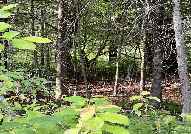 2nd image of 0 Nh Route 4 Route, Canaan, NH 03741 | MLS# 5104045