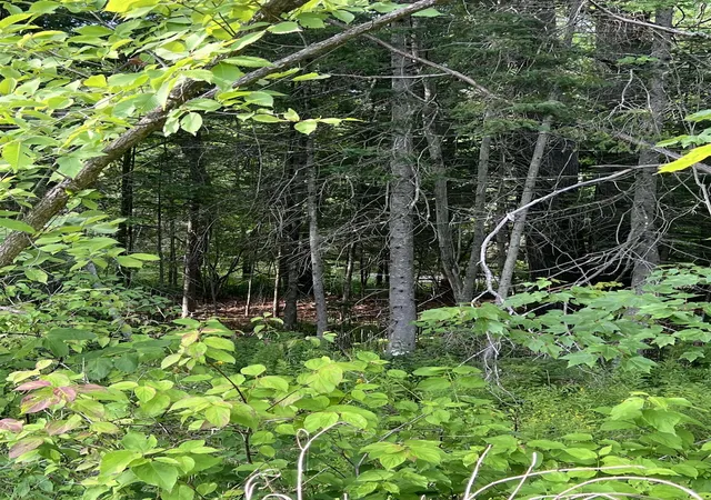 3rd image of 0 Nh Route 4 Route, Canaan, NH 03741 | MLS# 5104045