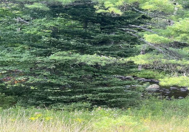 5th image of 0 Nh Route 4 Route, Canaan, NH 03741 | MLS# 5104045