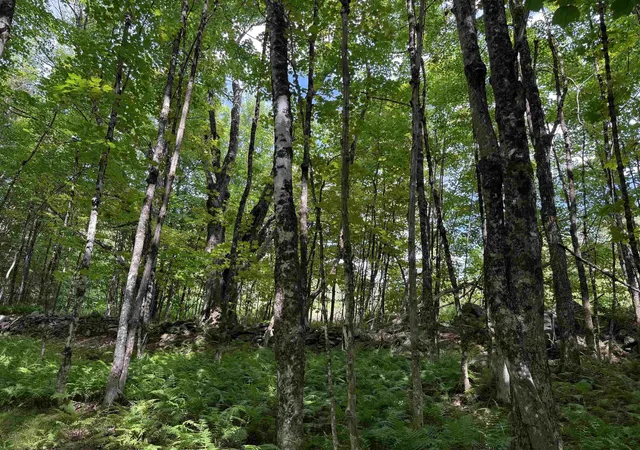 Photo 3 of Land for sale at 1103 North Rd, Eden, VT 05652 | MLS# 5105154 | Listing updated on 2026-09-16