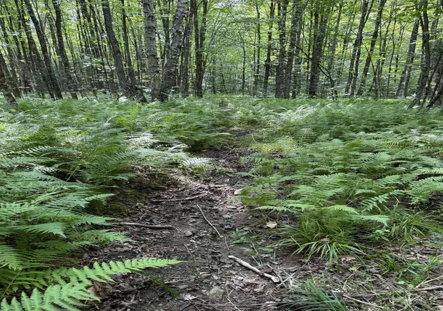 Photo 3 of Land for sale at 1103 North Rd, Eden, VT 05652 | MLS# 5105154 | Listing updated on 2026-09-16