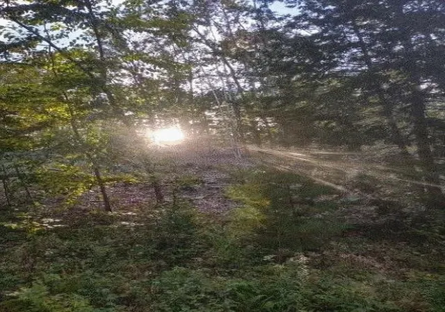Photo 2 of Land for sale at 905 Places Crossing Ln, Farmington, NH 03835 | MLS# 5107391 | Listing updated on 2026-08-30