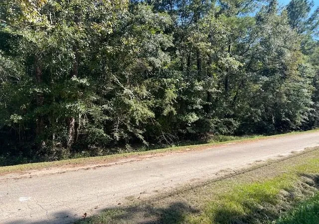 Photo 1 of Land for sale at Mcmanus Rd, Slidell, LA 70461 | MLS# 2471508 | Listing updated on 2026-08-10