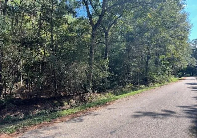 Photo 2 of Land for sale at Mcmanus Rd, Slidell, LA 70461 | MLS# 2471508 | Listing updated on 2026-08-10