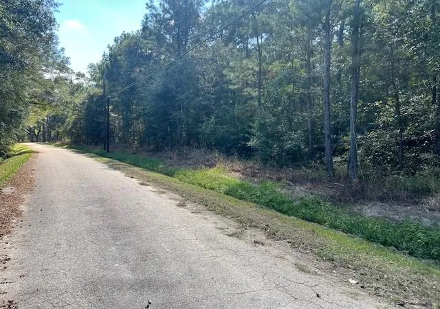 Photo 3 of Land for sale at Mcmanus Rd, Slidell, LA 70461 | MLS# 2471508 | Listing updated on 2026-08-10