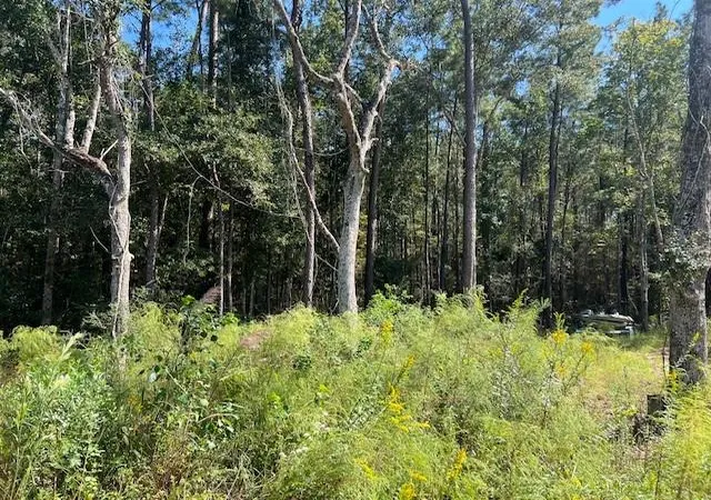 Photo 3 of Land for sale at Mcmanus Rd, Slidell, LA 70461 | MLS# 2471508 | Listing updated on 2026-08-10