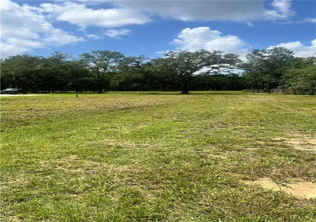 Photo 3 of Land for sale at 62285 Highway 1091, Pearl River, LA 70452 | MLS# 2514947 | Listing updated on 2026-08-06