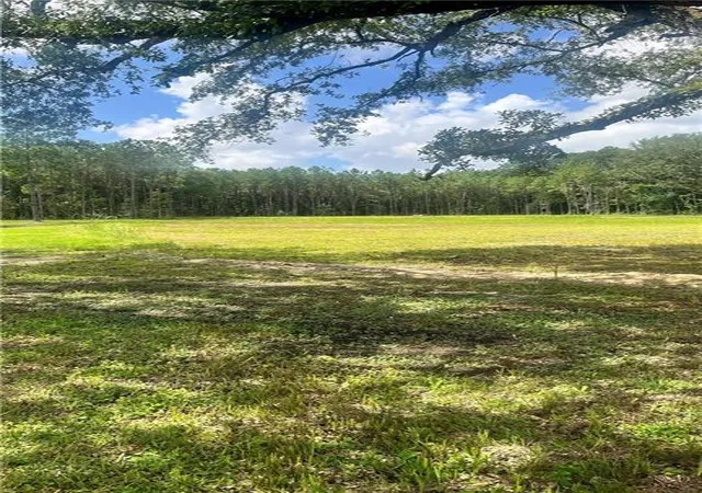 Photo 4 of Land for sale at 62285 Highway 1091, Pearl River, LA 70452 | MLS# 2514947 | Listing updated on 2026-08-06
