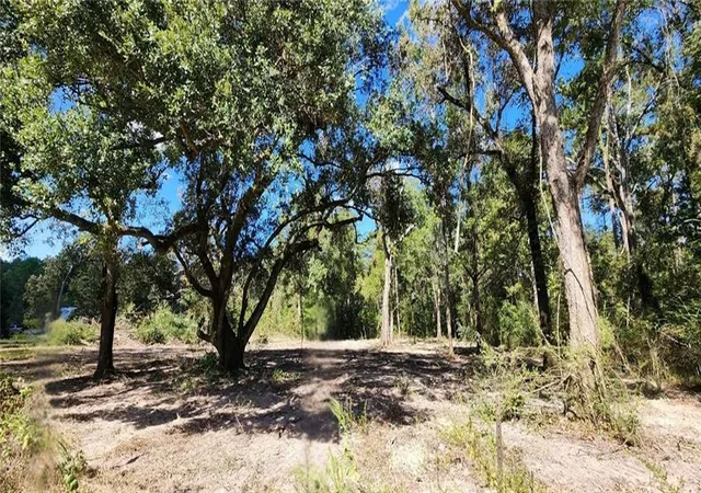 Photo 15 of Land for sale at Bennett Rd, Holden, LA 70744 | MLS# 2528409 | Listing updated on 2026-08-12