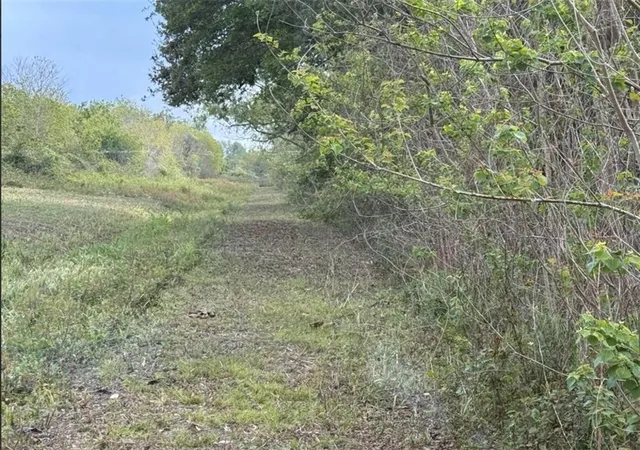 Photo 3 of Land for sale at 147 Wilson Ln, Braithwaite, LA 70040 | MLS# 2530665 | Listing updated on 2026-08-14