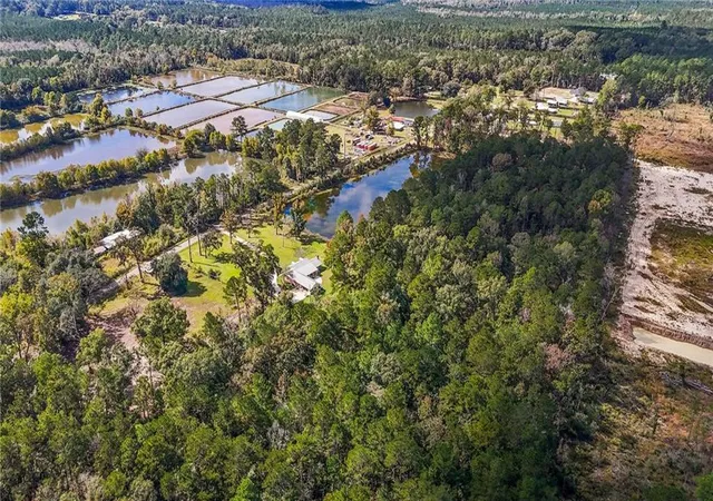 Photo 2 of Land for sale at B 1 Bennett Rd, Holden, LA 70744 | MLS# 2532304 | Listing updated on 2026-08-12