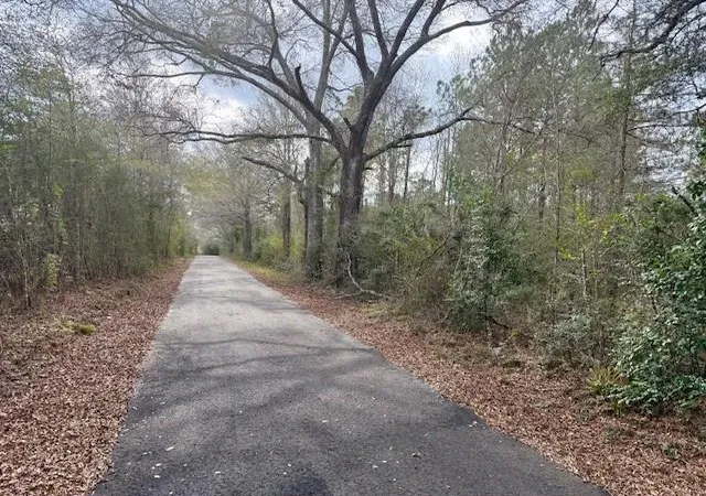 Photo 1 of Land for sale at 0 Burch Rd, Mount Hermon, LA 70450 | MLS# 2537300 | Listing updated on 2026-08-20